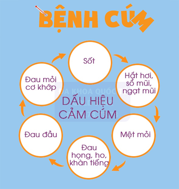 trieu-chung-cua-benh-cum